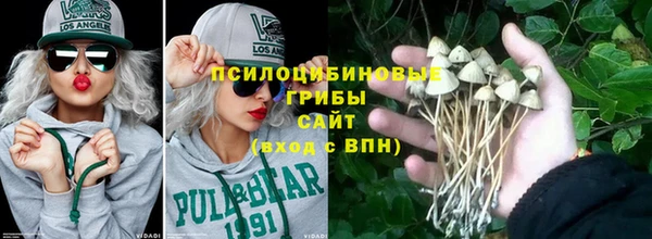 винт Алзамай